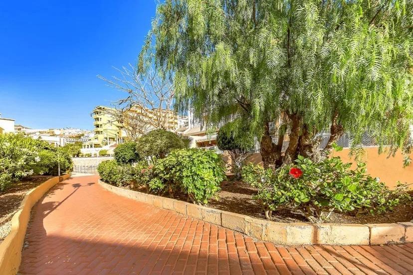 Tenerifeopenhome Costa Adeje Comfort Apartment 3 Pools Ngoại thất bức ảnh